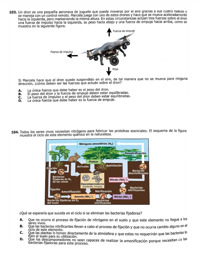 Preguntas Reales 2017 - 2025  CALENDARIO A Y B
