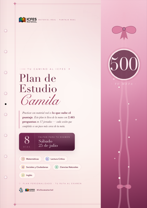 Estilo Coquette